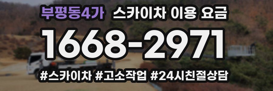 부평동4가 스카이차 이용 요금