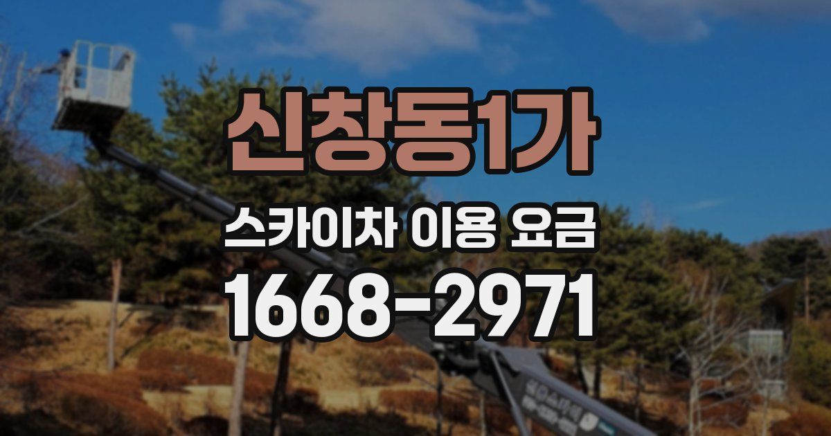 신창동1가 스카이차 이용 요금