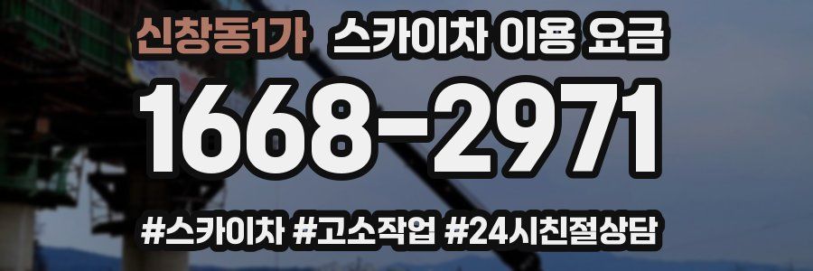 신창동1가 스카이차 이용 요금