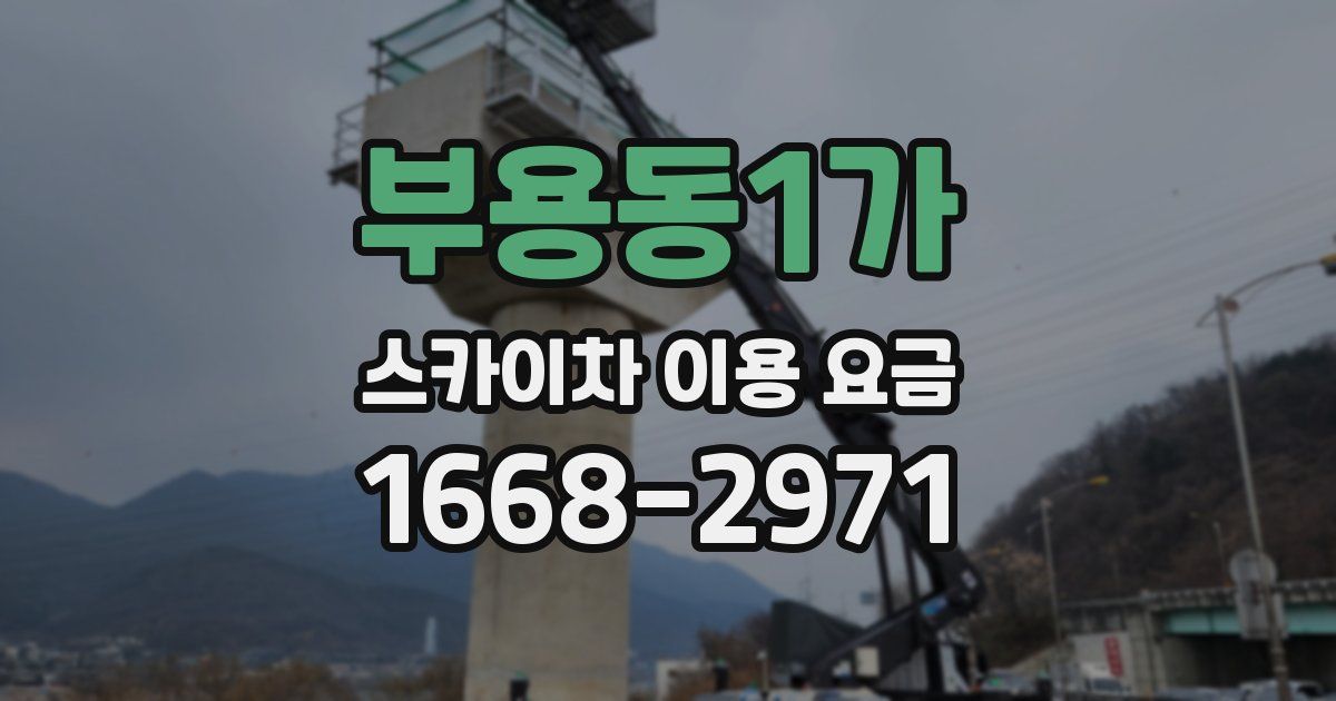 부용동1가 스카이차 이용 요금