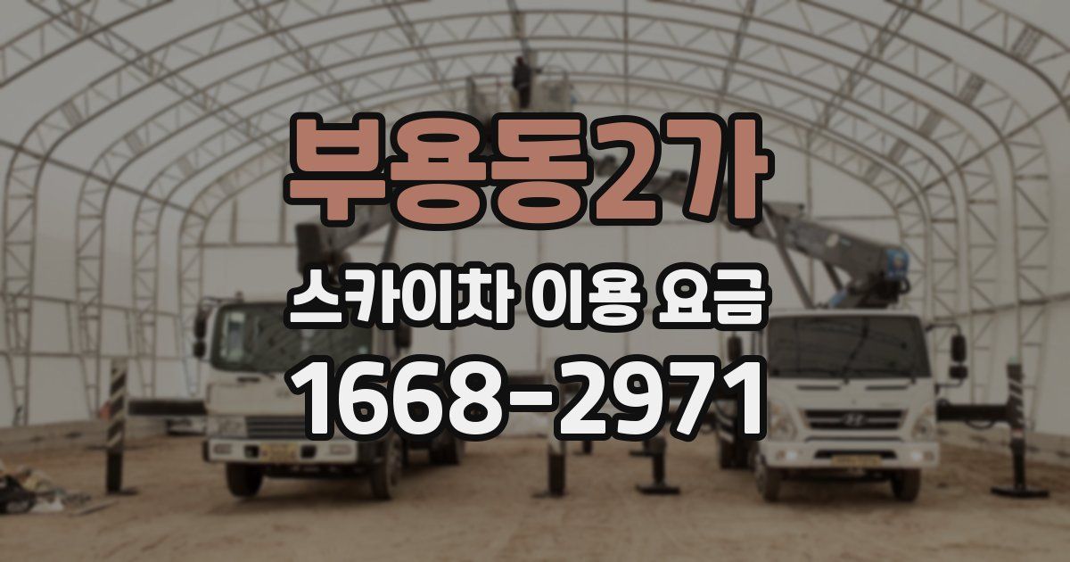 부용동2가 스카이차 이용 요금