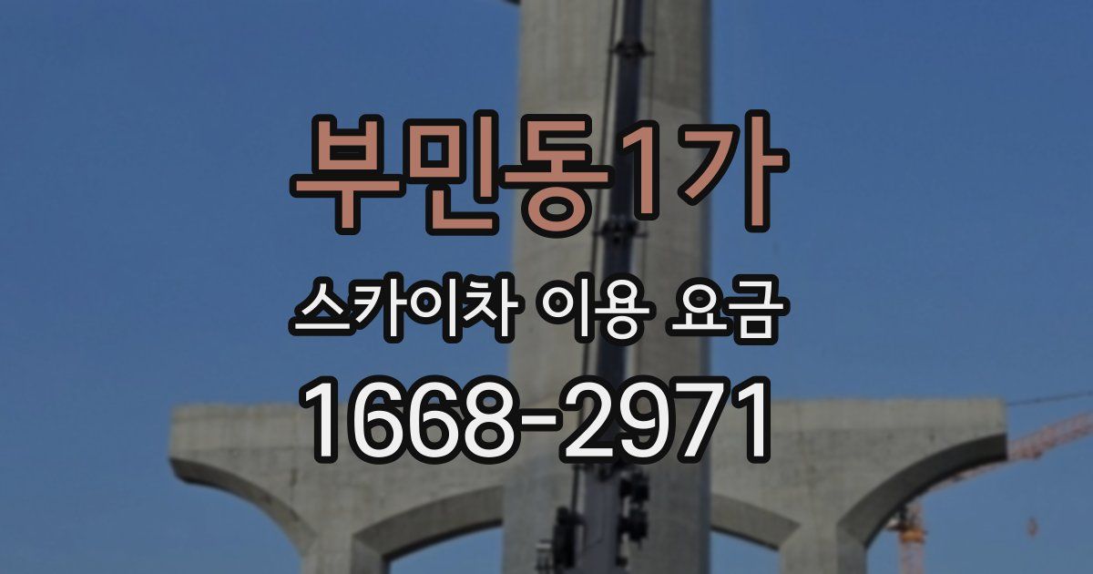 부민동1가 스카이차 이용 요금