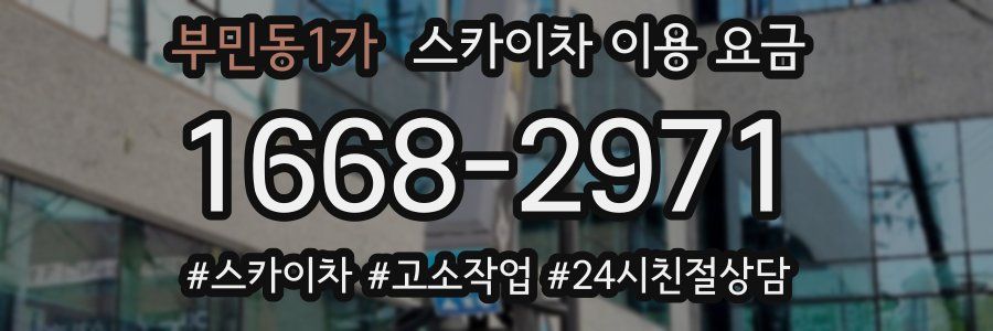 부민동1가 스카이차 이용 요금