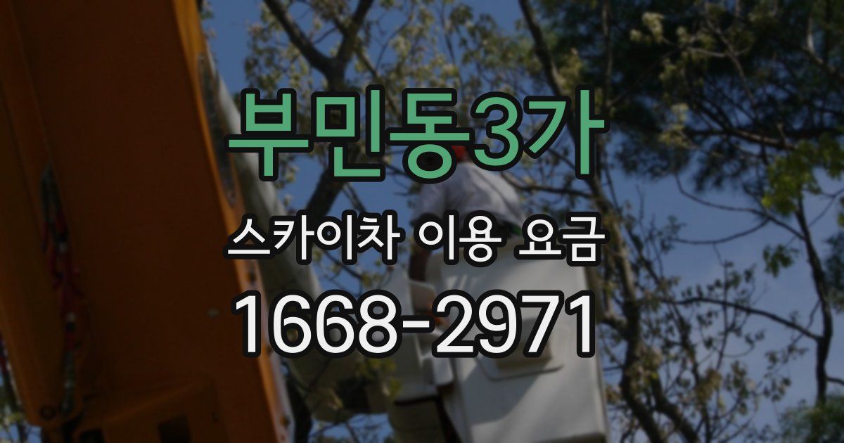 부민동3가 스카이차 이용 요금
