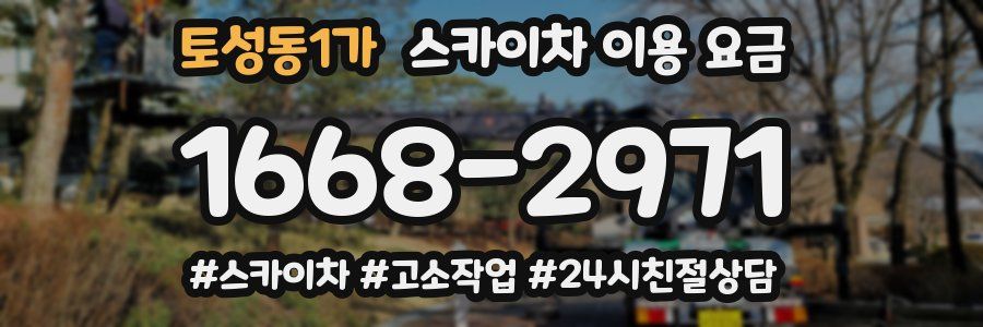 토성동1가 스카이차 이용 요금