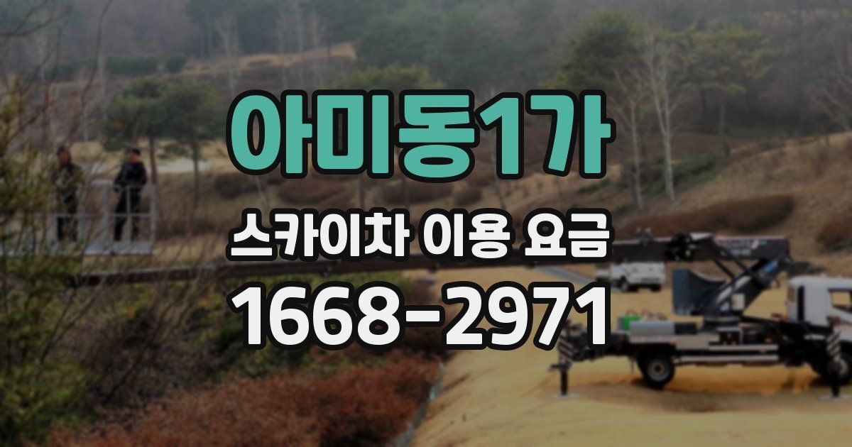 아미동1가 스카이차 이용 요금
