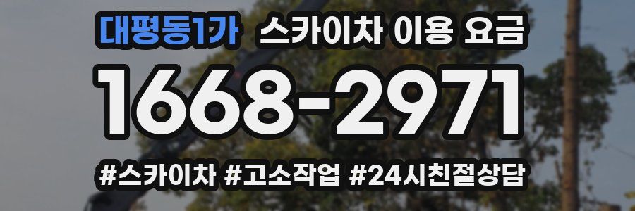 대평동1가 스카이차 이용 요금