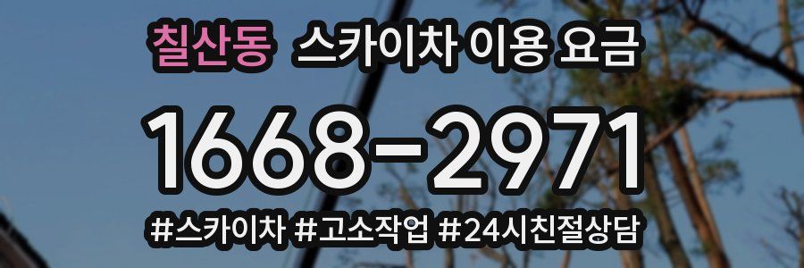 칠산동 스카이차 이용 요금