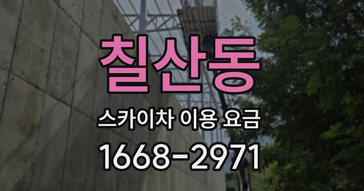 칠산동 스카이차 이용 요금