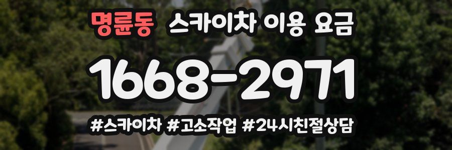 명륜동 스카이차 이용 요금