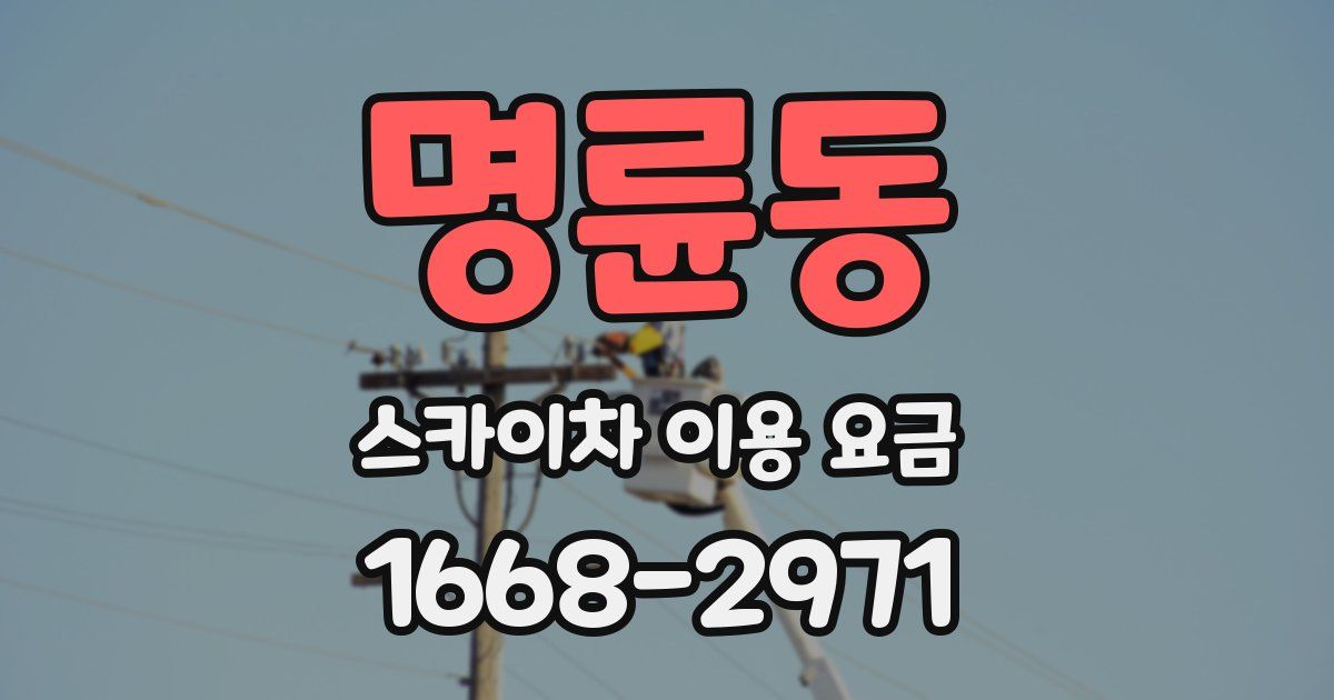 명륜동 스카이차 이용 요금