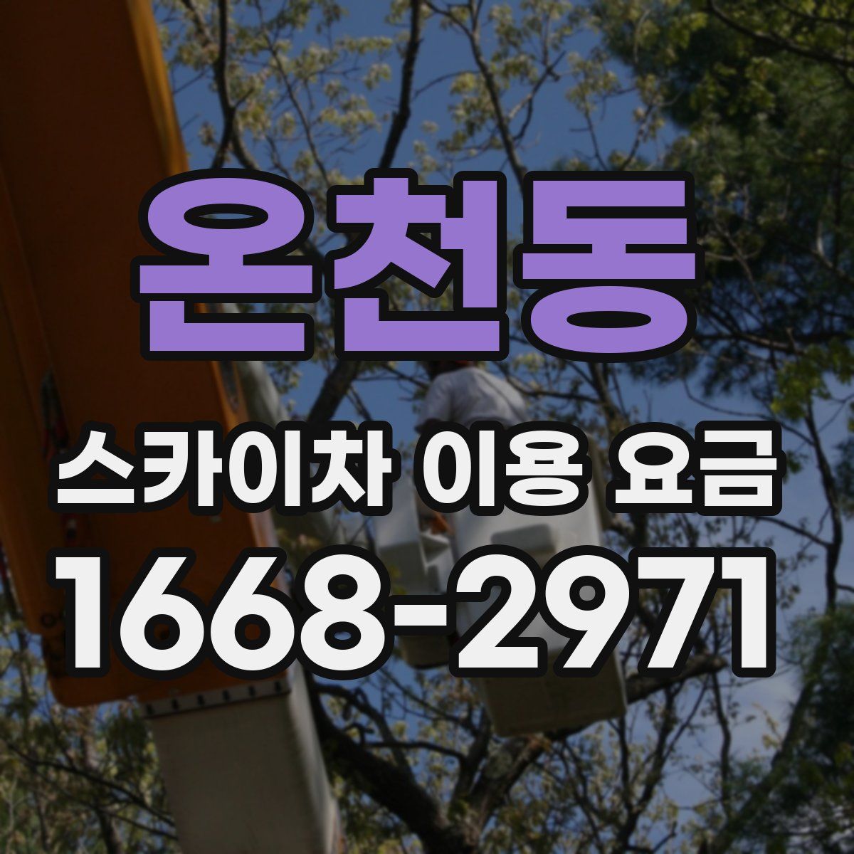 온천동 스카이차 이용 요금