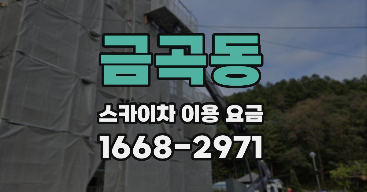 금곡동 스카이차 이용 요금