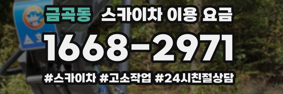 금곡동 스카이차 이용 요금