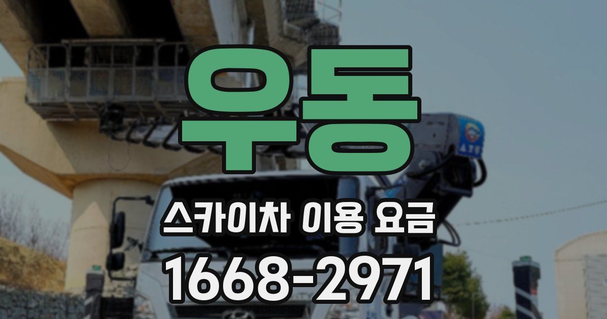 우동 스카이차 이용 요금