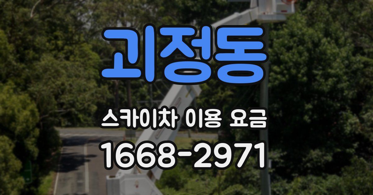 괴정동 스카이차 이용 요금