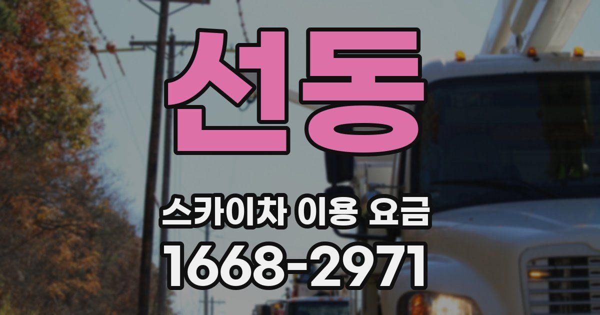 선동 스카이차 이용 요금