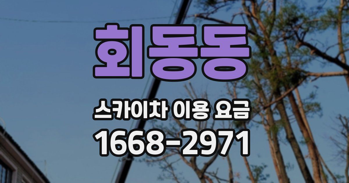 회동동 스카이차 이용 요금