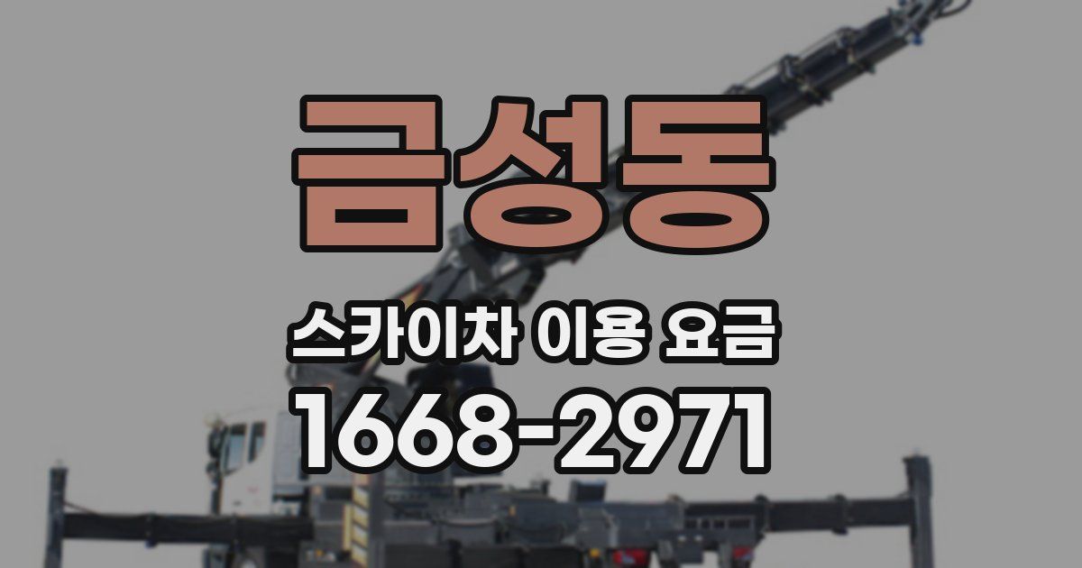 금성동 스카이차 이용 요금