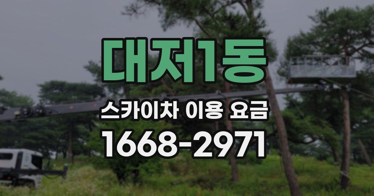 대저1동 스카이차 이용 요금