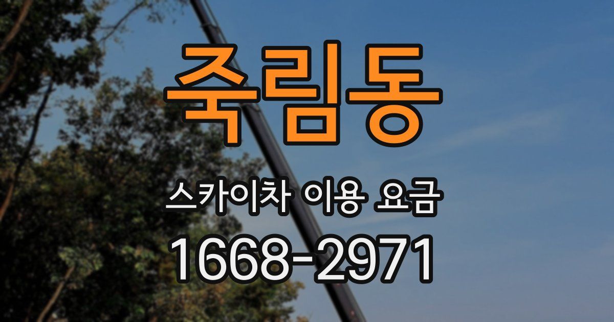 죽림동 스카이차 이용 요금