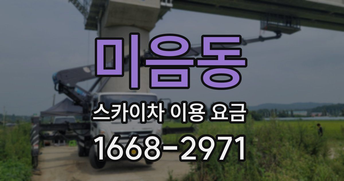 미음동 스카이차 이용 요금
