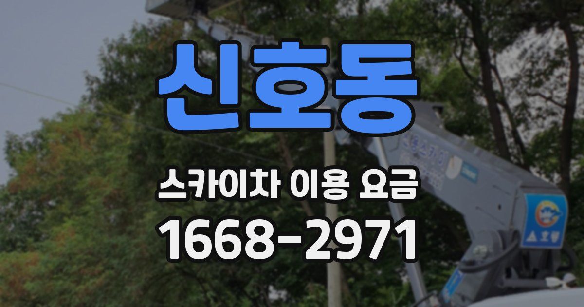 신호동 스카이차 이용 요금