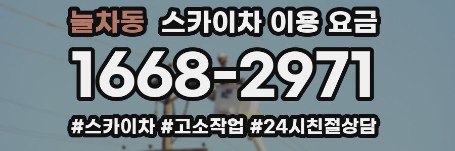 눌차동 스카이차 이용 요금