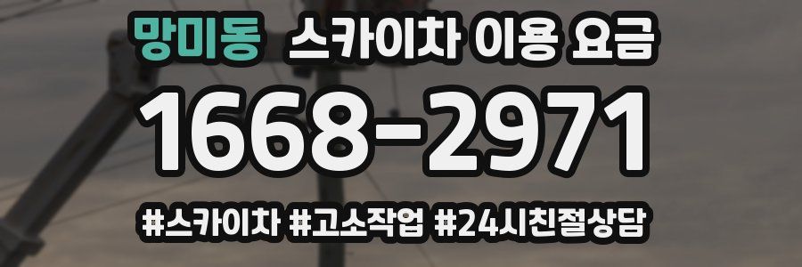 망미동 스카이차 이용 요금