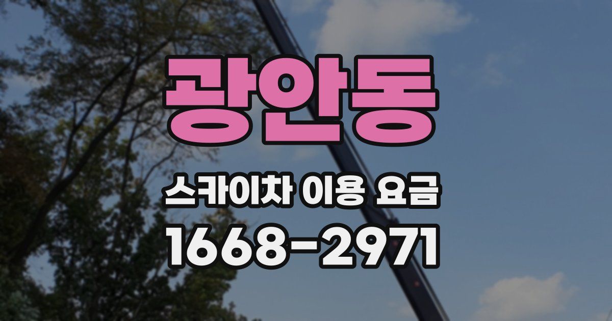 광안동 스카이차 이용 요금