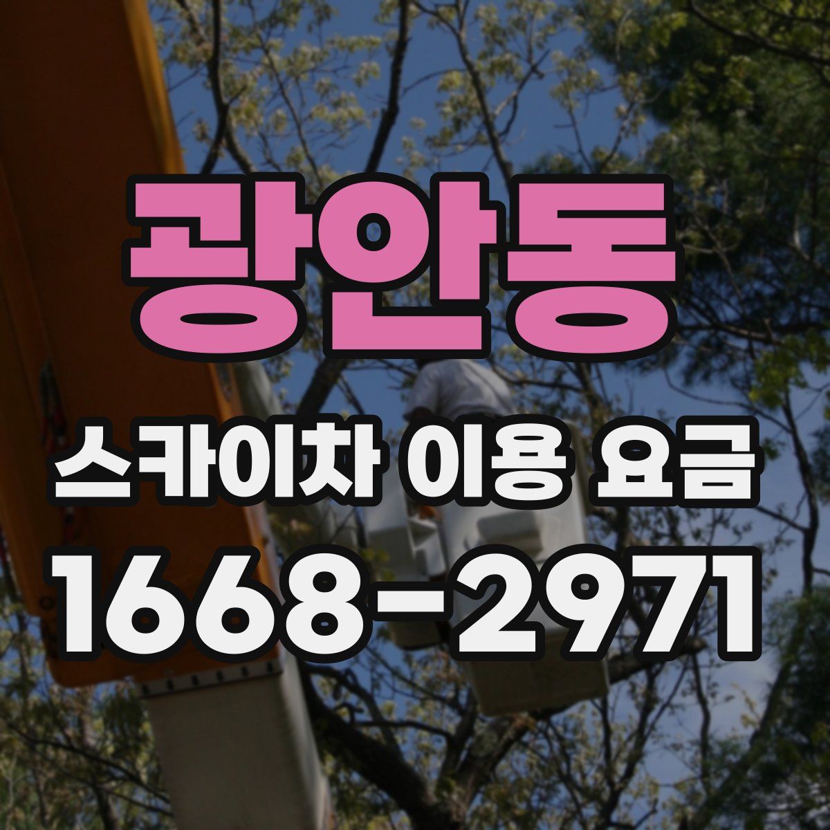 광안동 스카이차 이용 요금