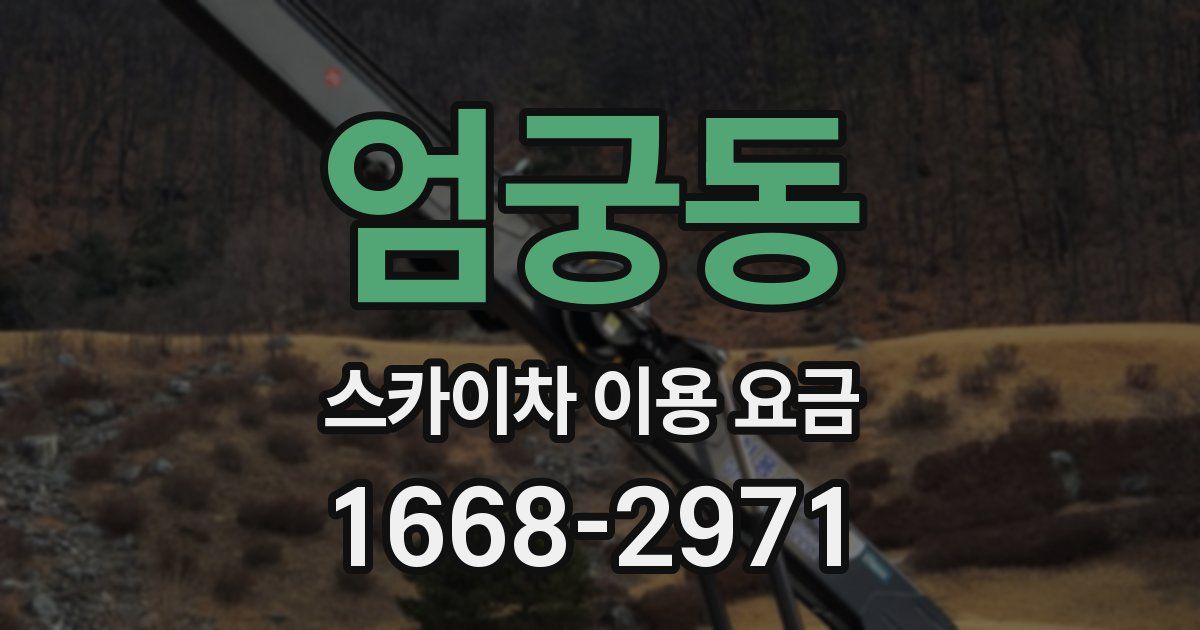 엄궁동 스카이차 이용 요금