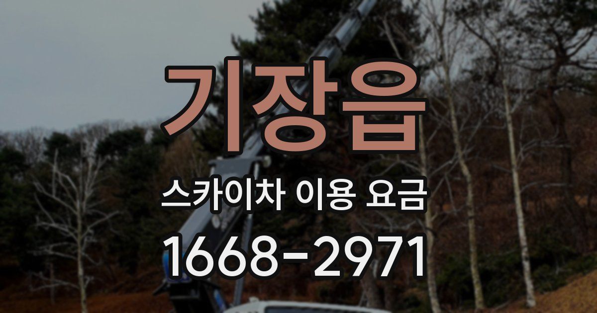 기장읍 스카이차 이용 요금