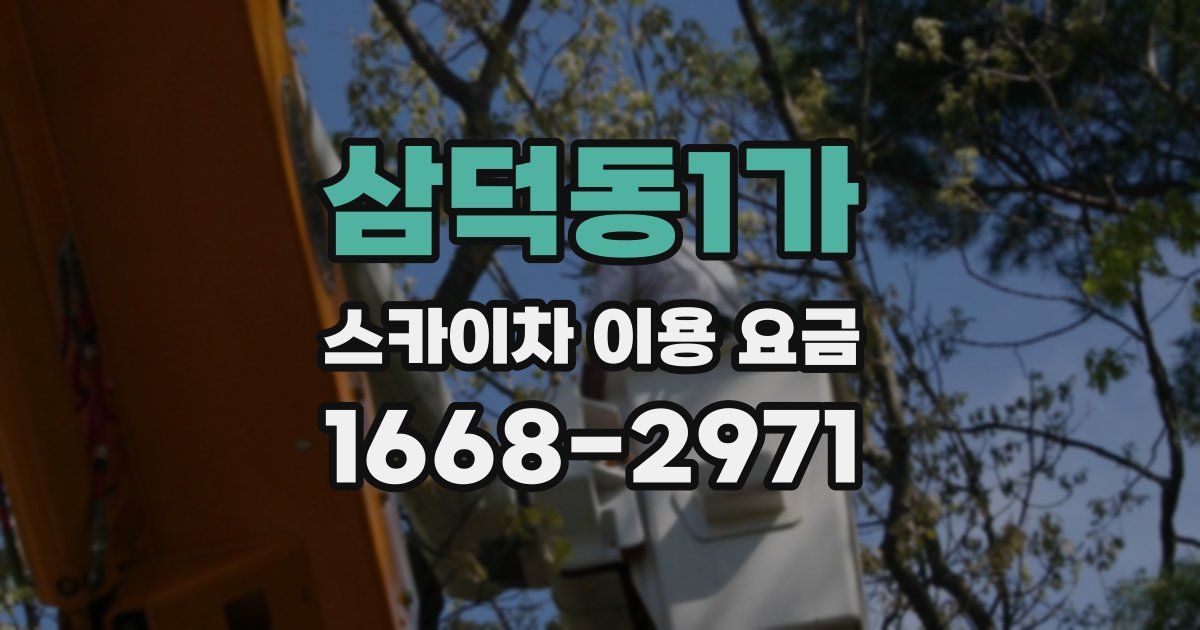 삼덕동1가 스카이차 이용 요금