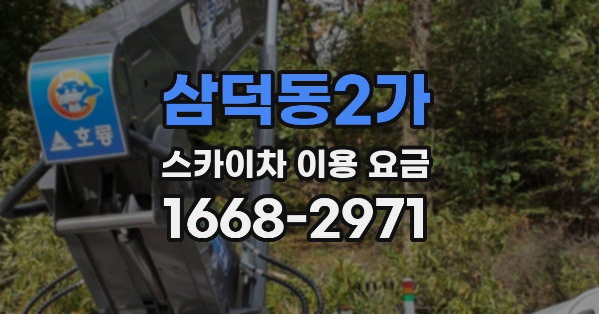 삼덕동2가 스카이차 이용 요금