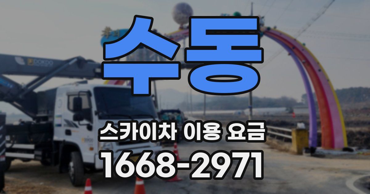 수동 스카이차 이용 요금