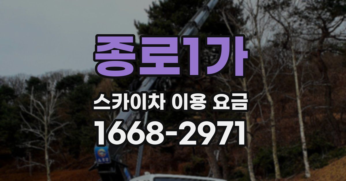 종로1가 스카이차 이용 요금