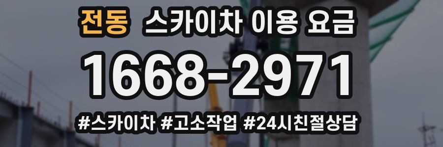 전동 스카이차 이용 요금