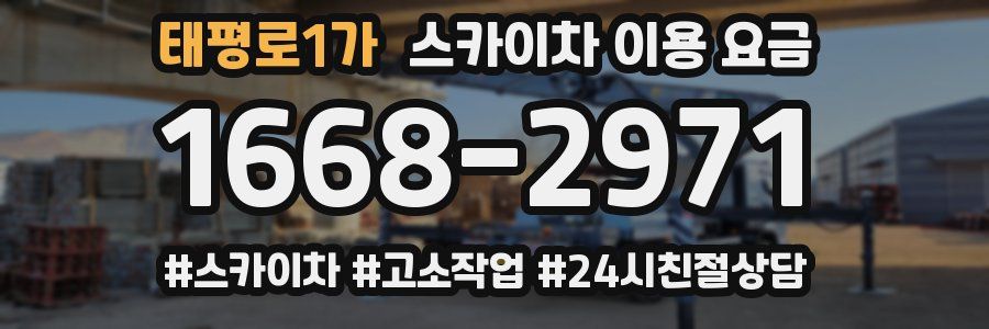 태평로1가 스카이차 이용 요금