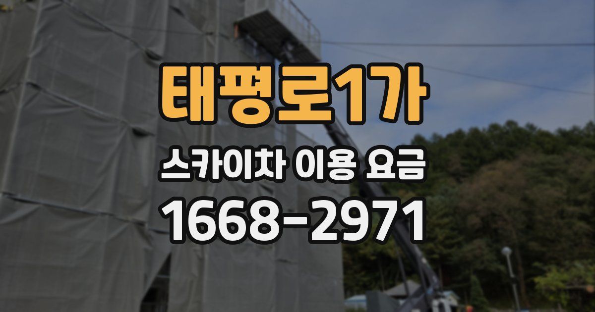 태평로1가 스카이차 이용 요금