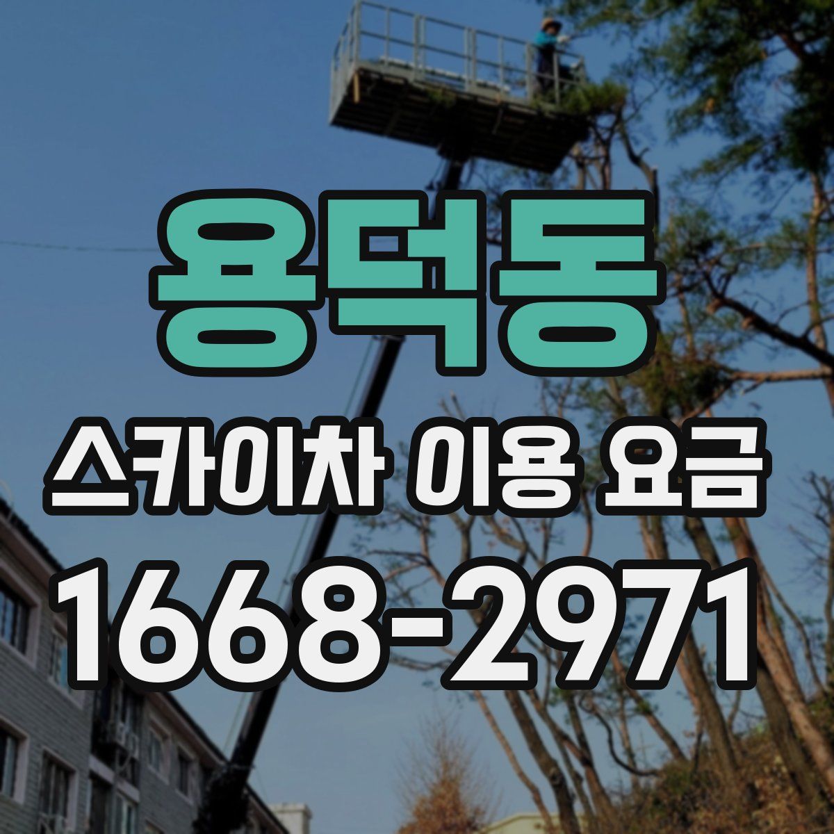 용덕동 스카이차 이용 요금