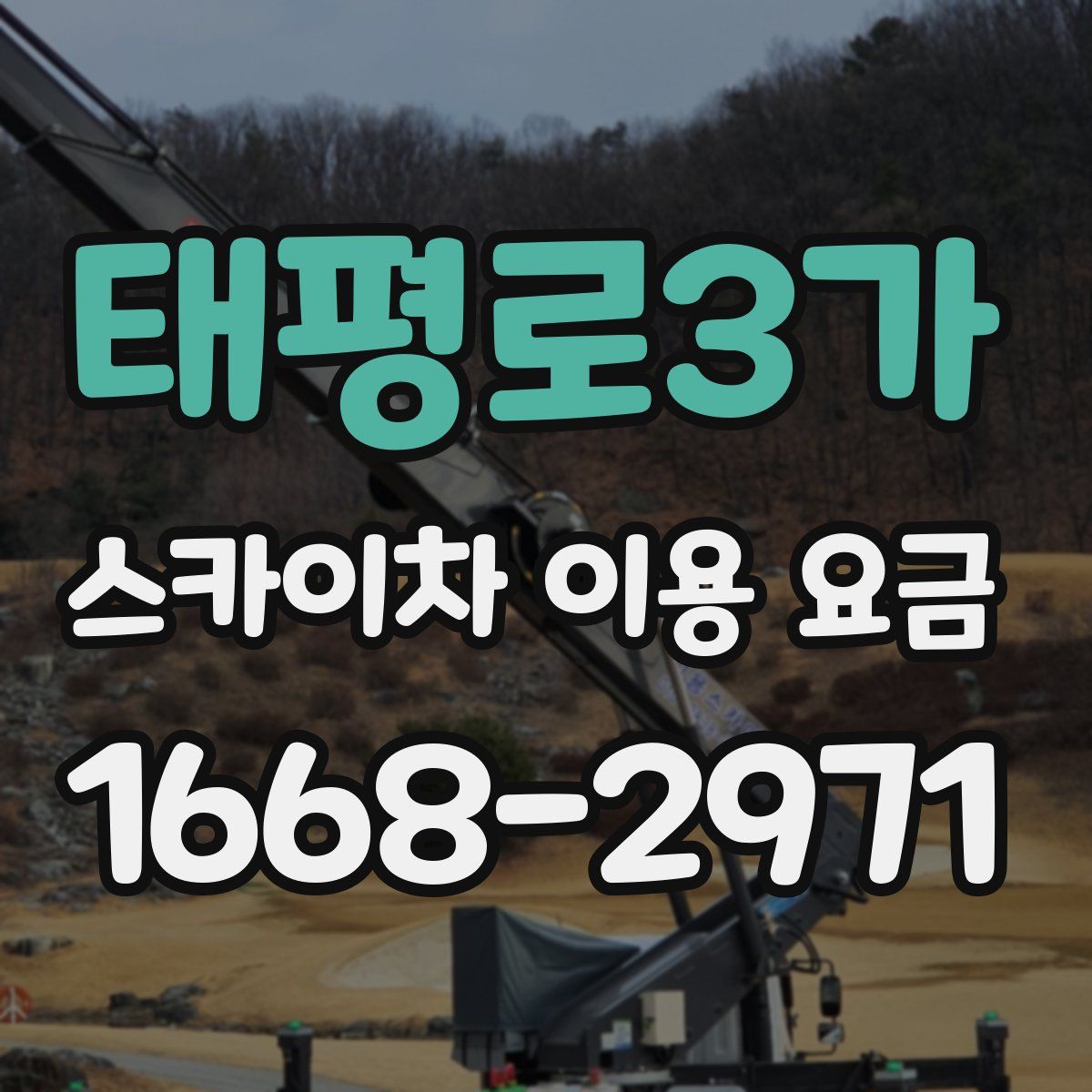 태평로3가 스카이차 이용 요금