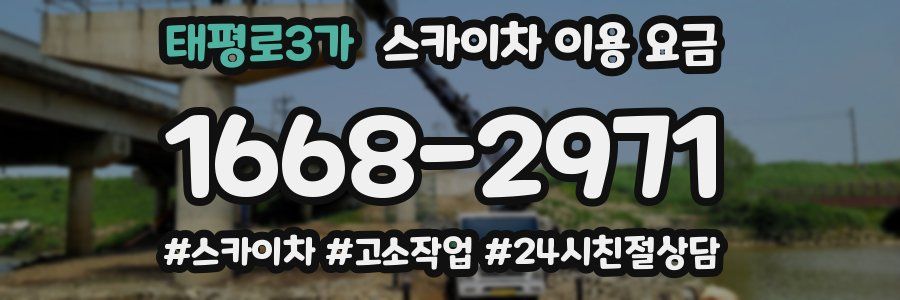 태평로3가 스카이차 이용 요금