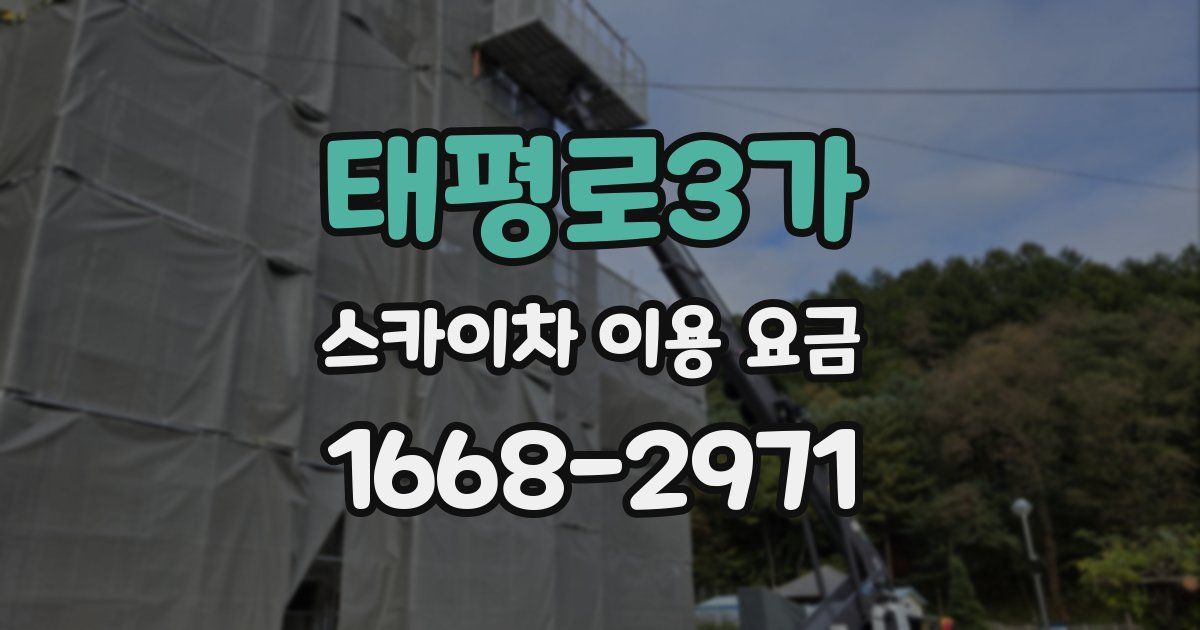 태평로3가 스카이차 이용 요금