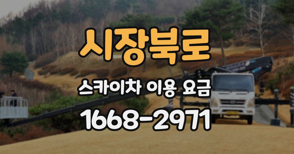 시장북로 스카이차 이용 요금