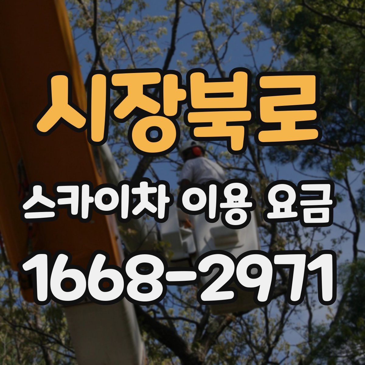 시장북로 스카이차 이용 요금