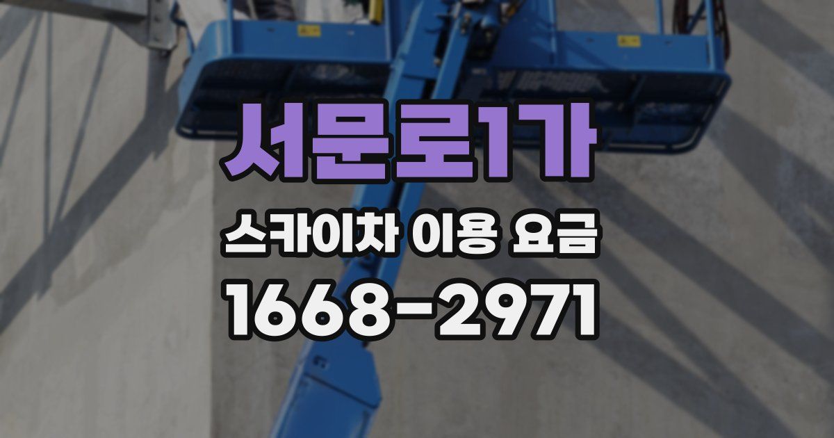 서문로1가 스카이차 이용 요금