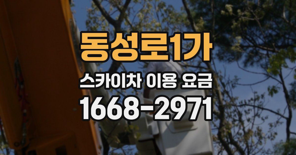동성로1가 스카이차 이용 요금