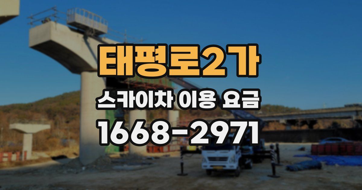 태평로2가 스카이차 이용 요금