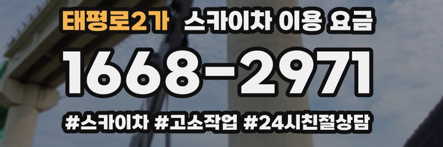 태평로2가 스카이차 이용 요금